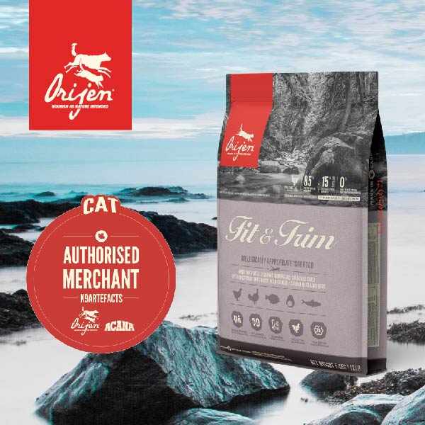 ORIJEN Cat Dry Food Fit and Trim WePets