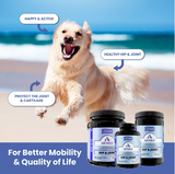 Kala Health Arthrix  180 tabs  Pet Supplement for Hip & Joint /Dog & Cat