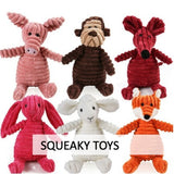 Squeaky Toys for Dog and puppies