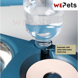 Pet Bowl Auto water dispenser