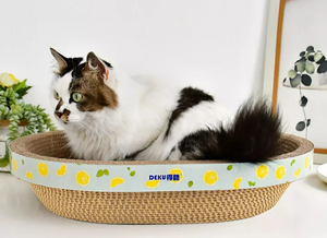 Cat scratch bowl/bed/ scratcher